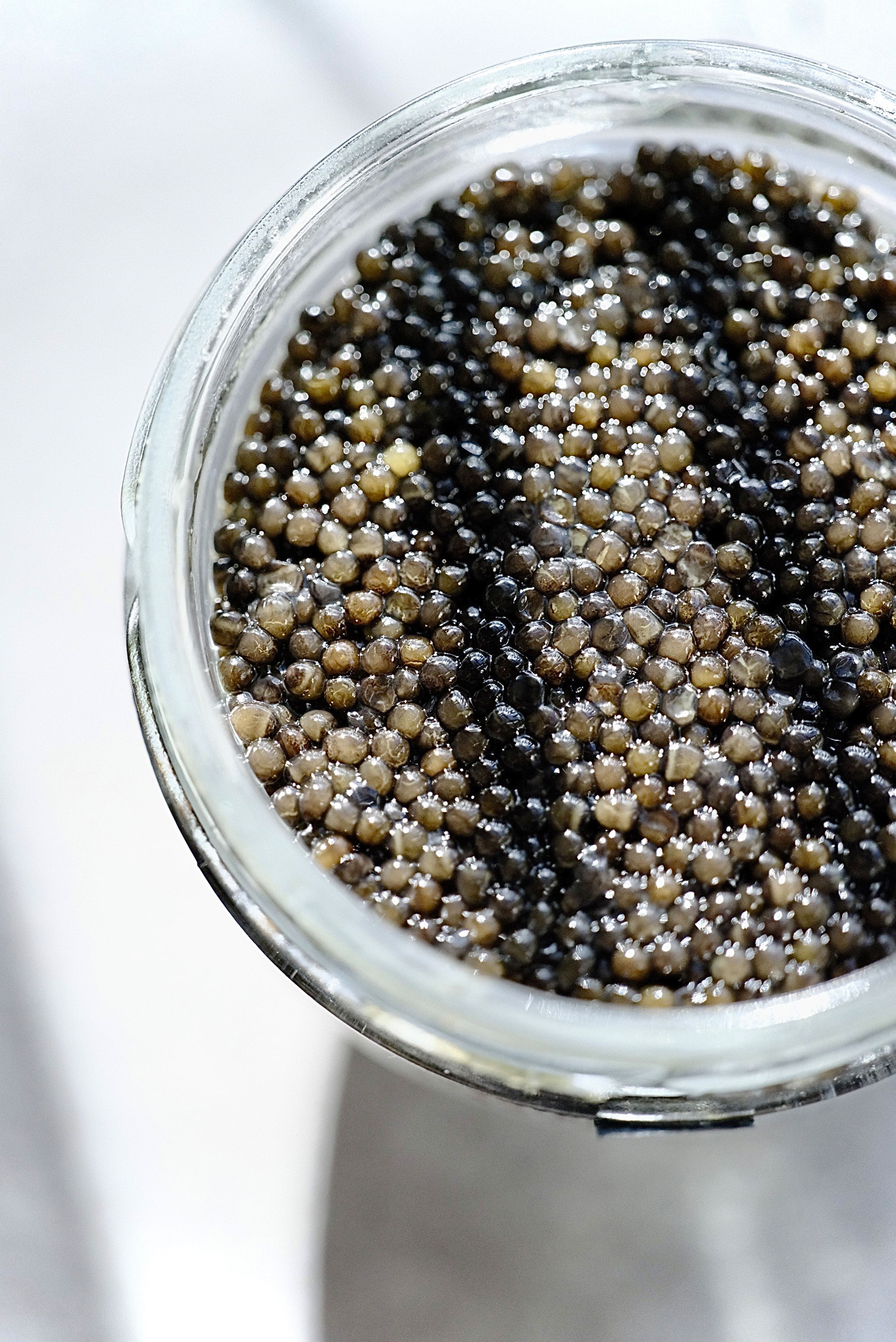 Varvatsi Siberian Sturgeon Caviar