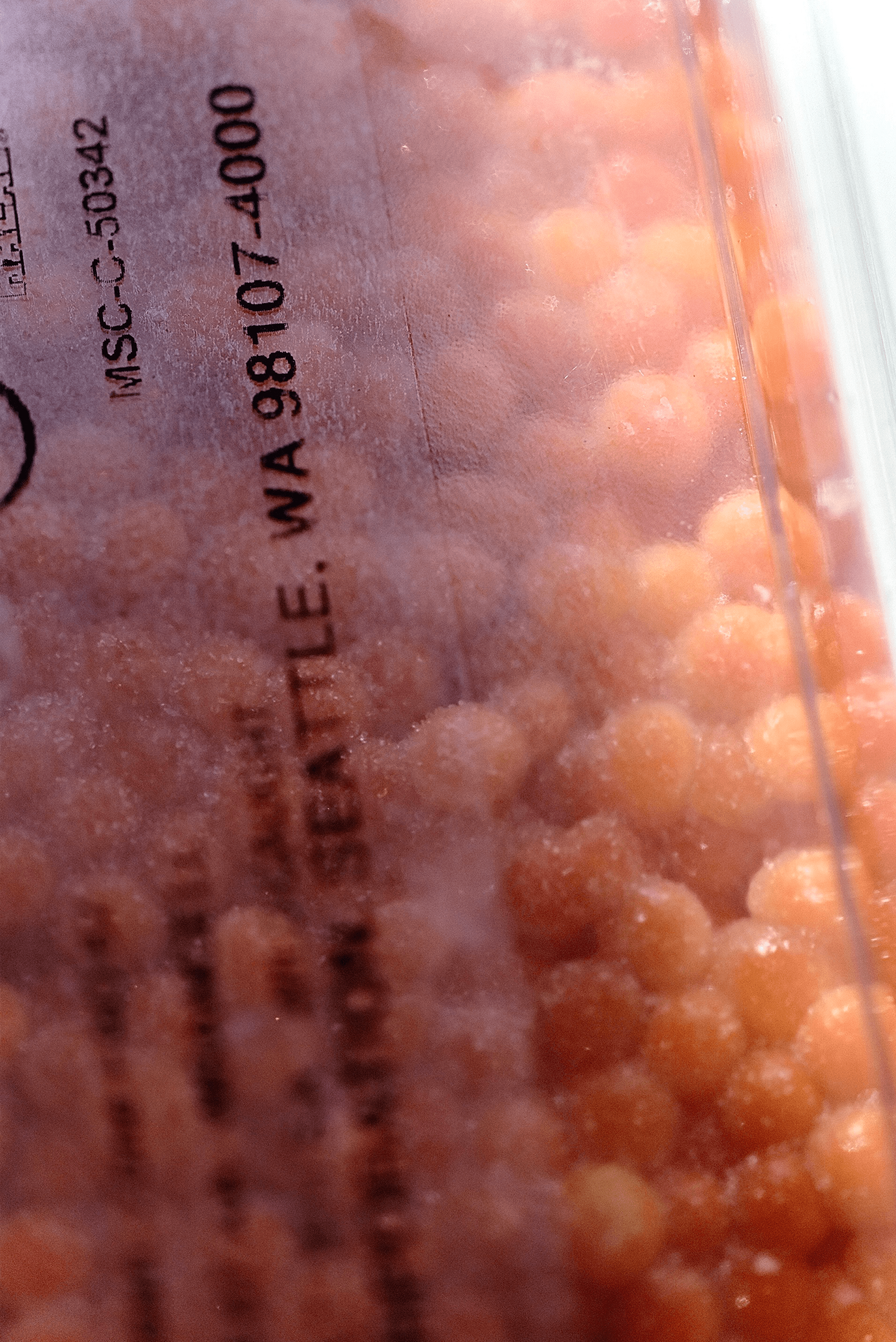 Salted Chum Salmon Roe