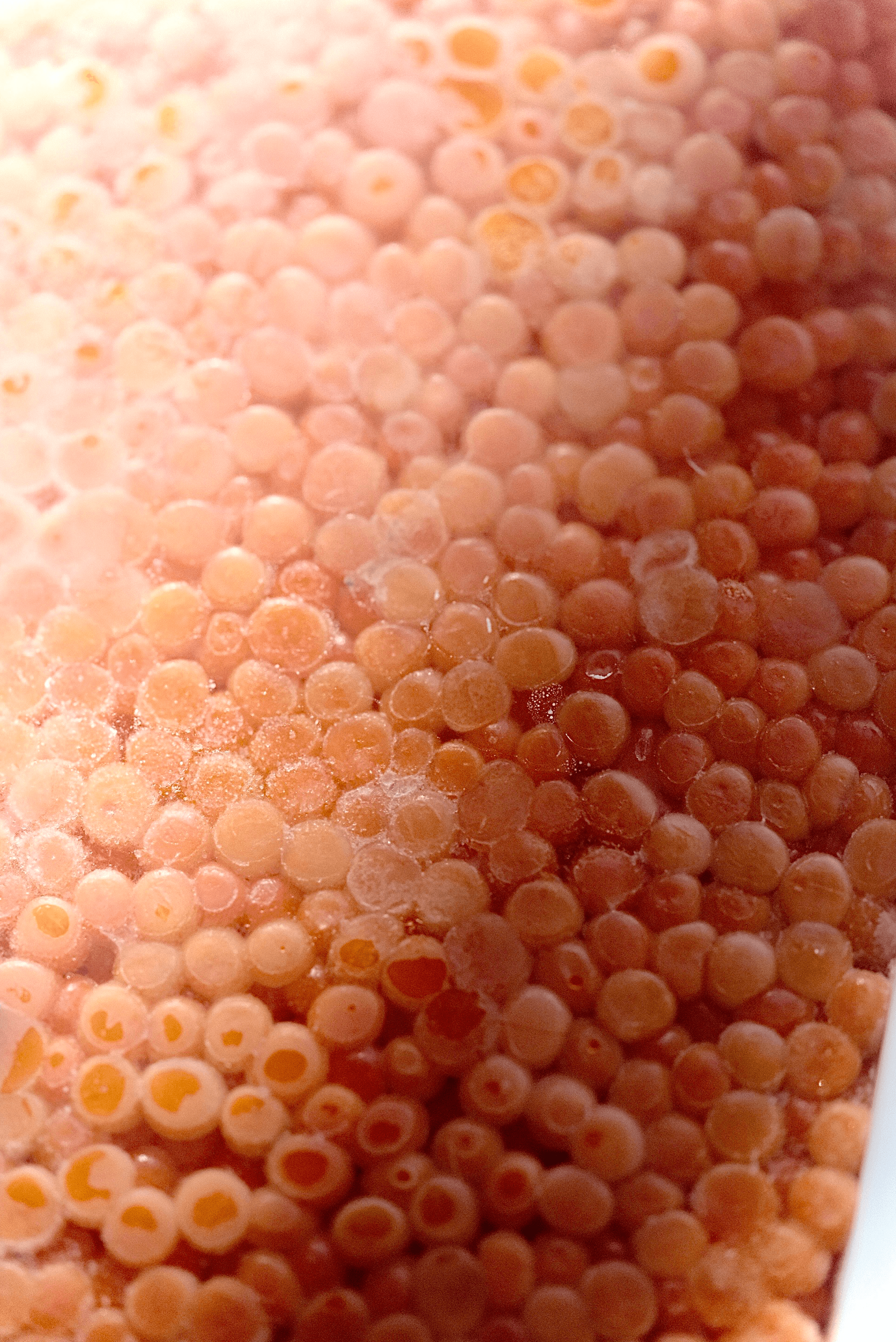 Peter Pan Chum Salmon Ikura