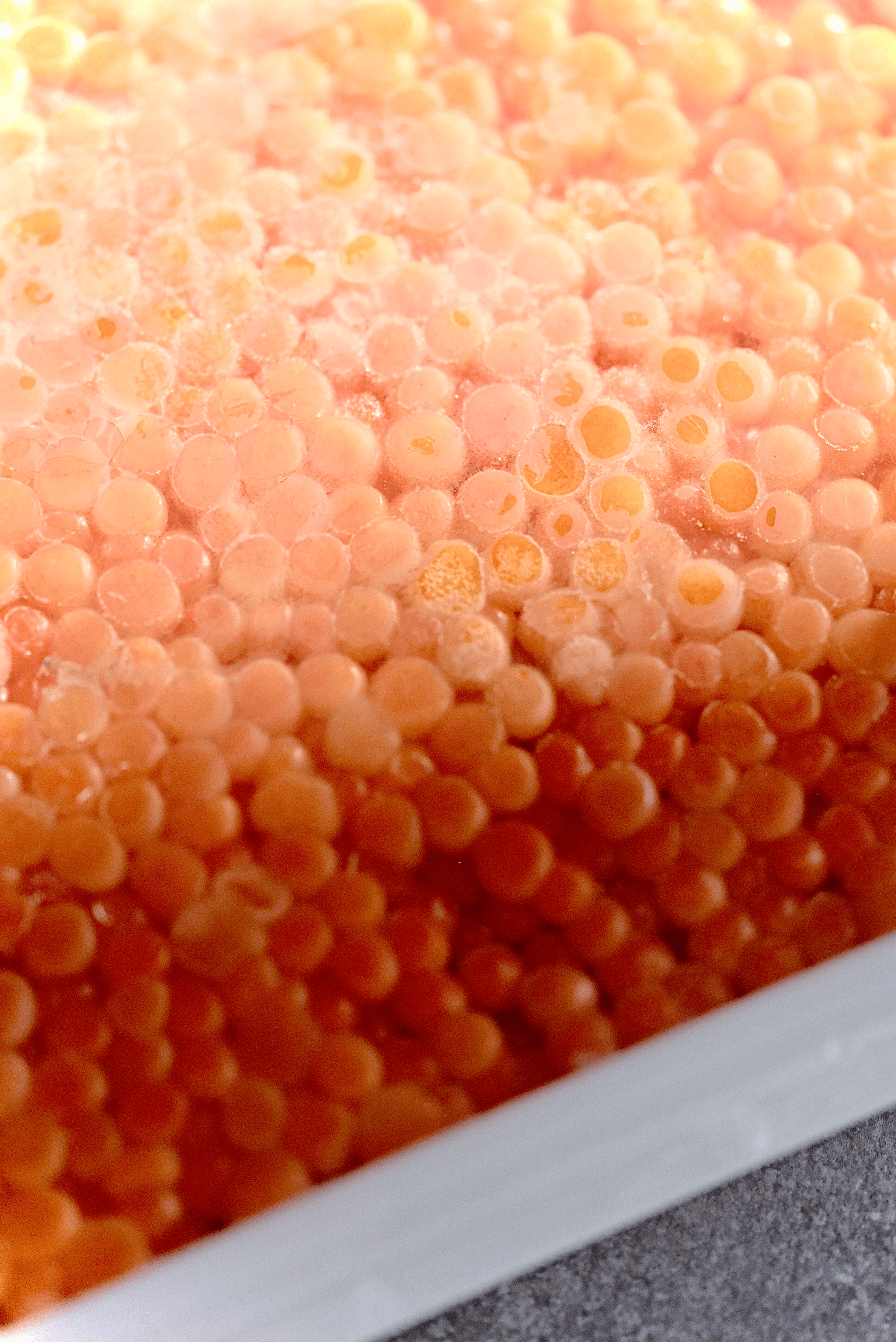 Peter Pan Chum Salmon Ikura