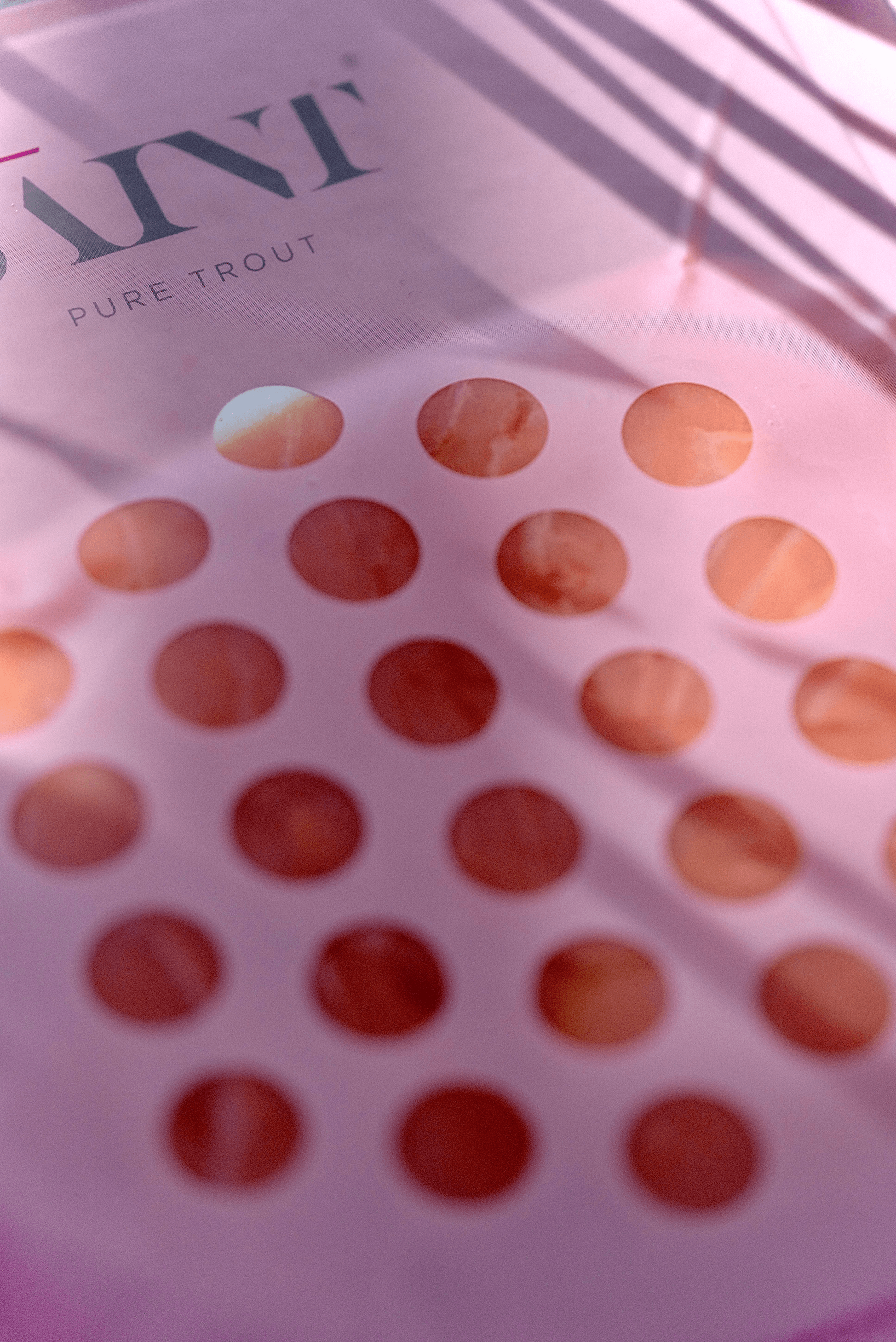 Cold Smoked Steelhead Trout (sliced)