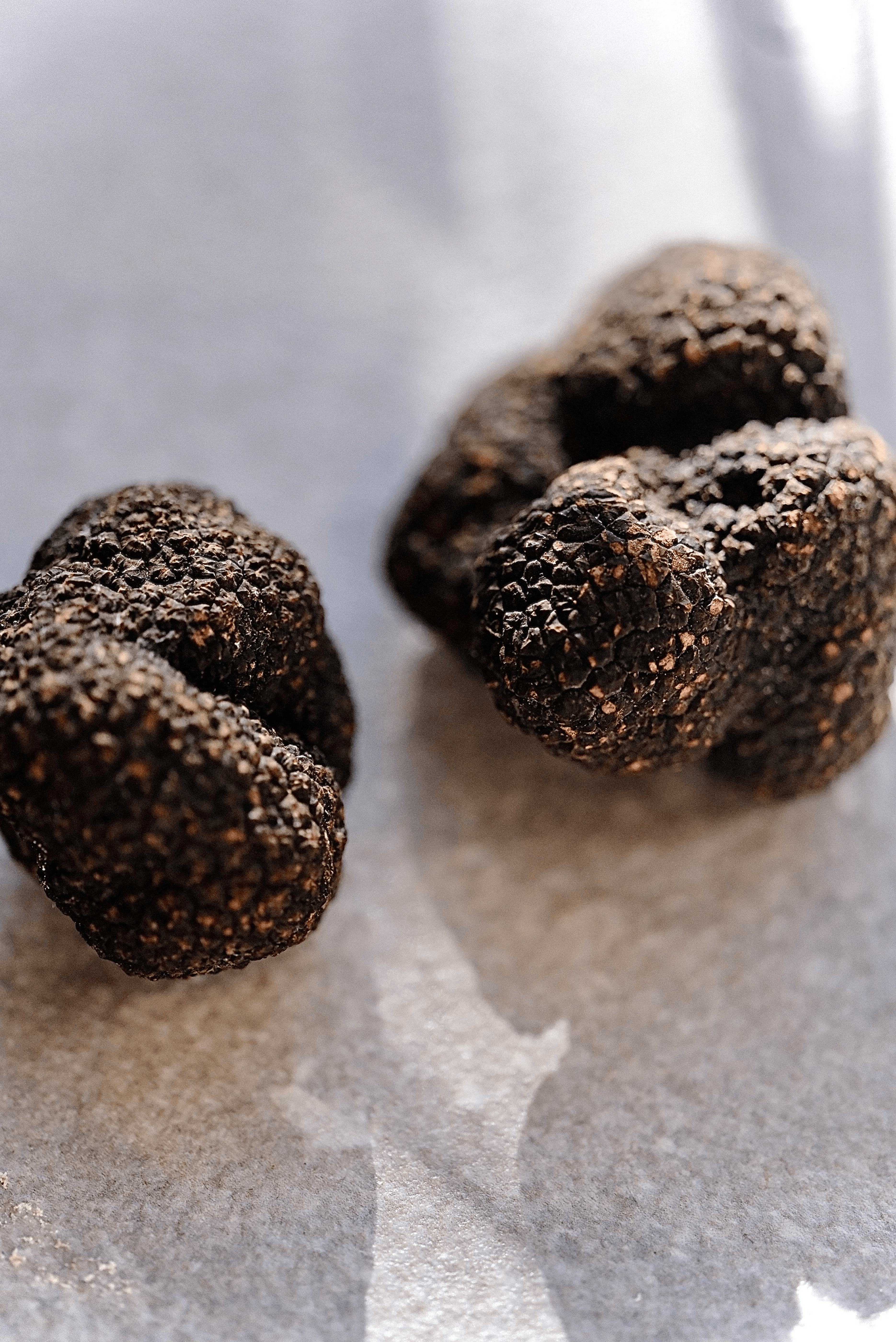 Winter Truffle by Empero Gourmet House