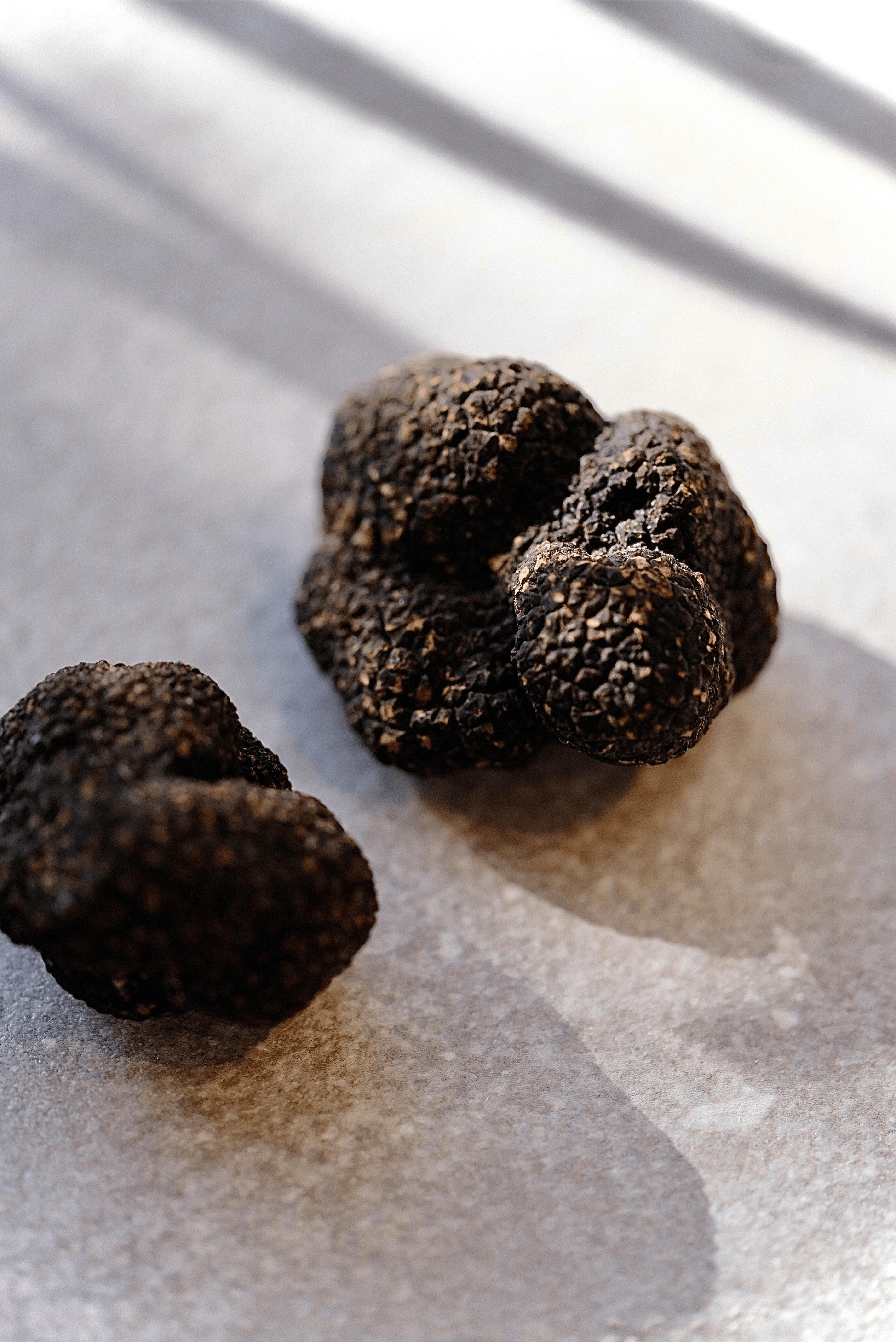 Winter Truffle by Empero Gourmet House