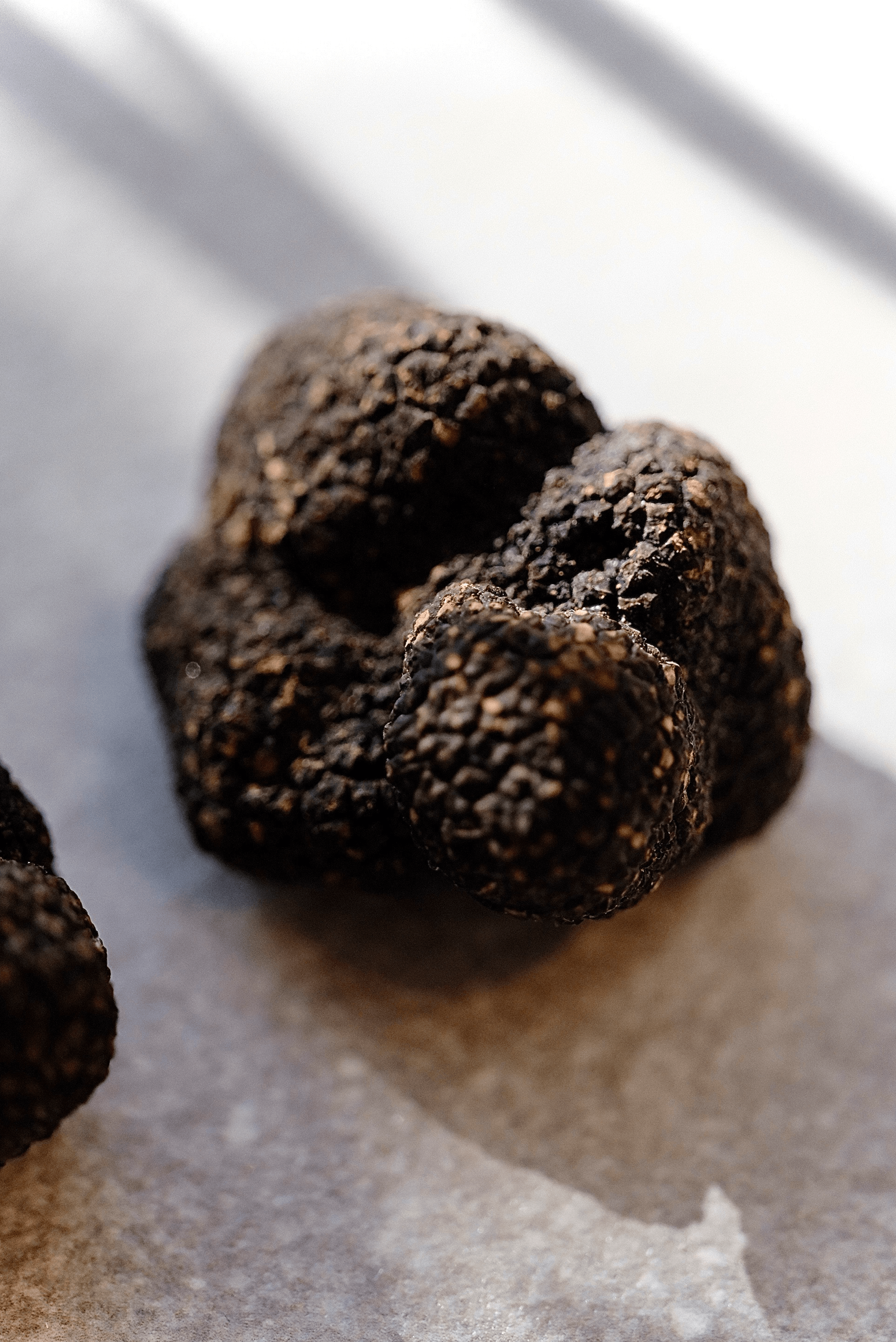 Winter Truffle by Empero Gourmet House