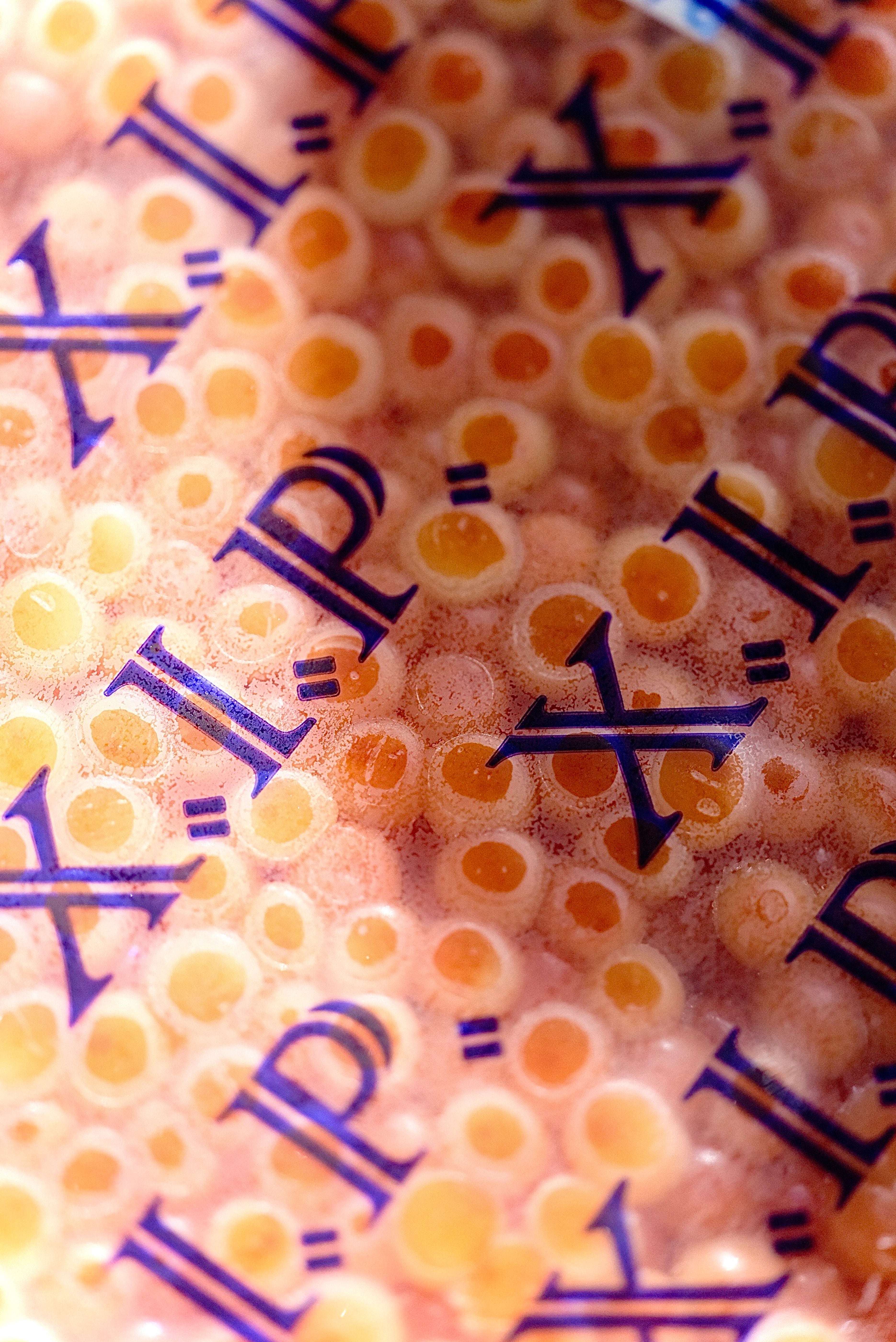 Chum Salmon Ikura - XIP ORANGE