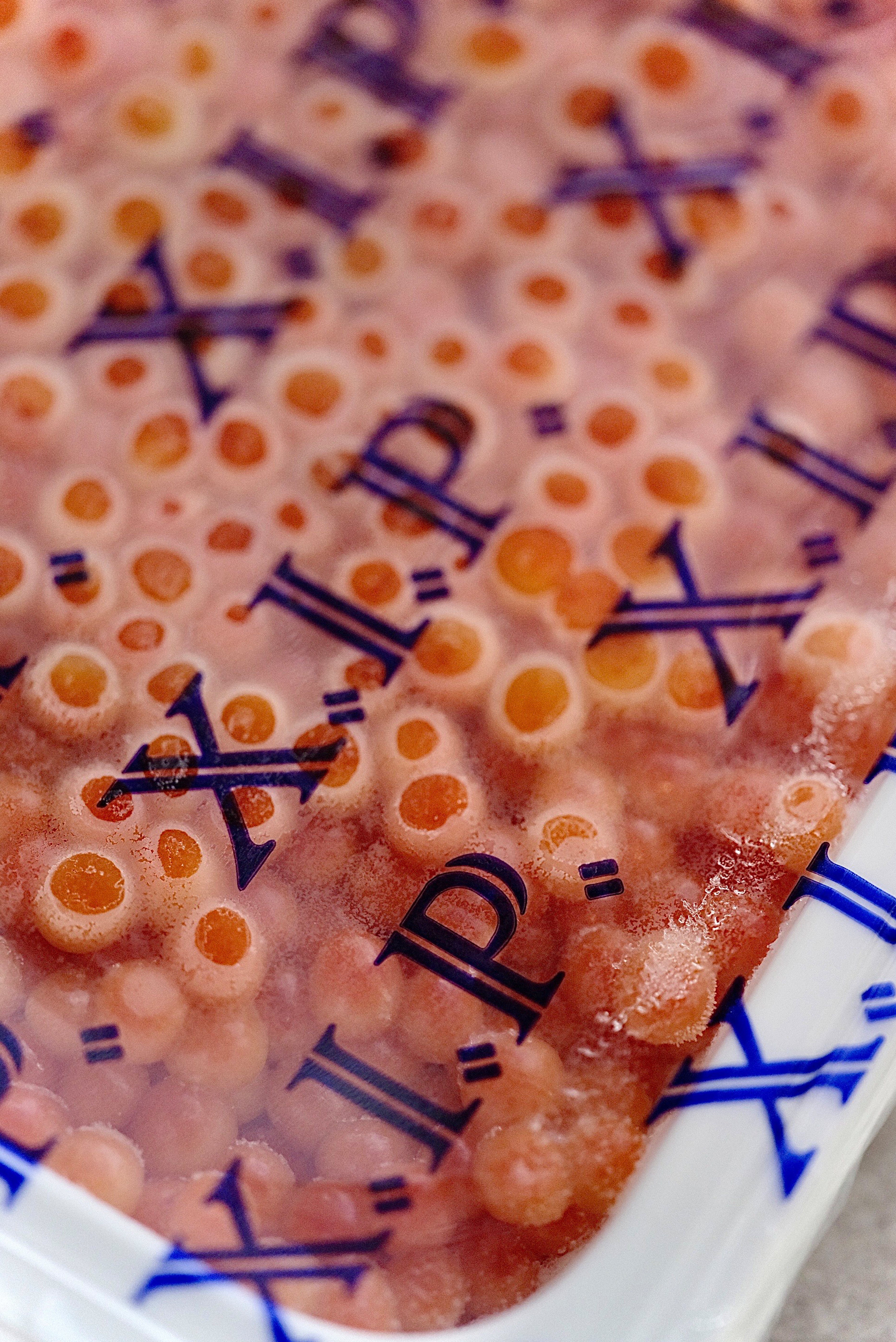 Chum Salmon Ikura - XIP ORANGE